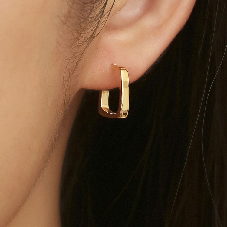 Elegant Women's Square Titanium Earrings Earrings for Girlfriends