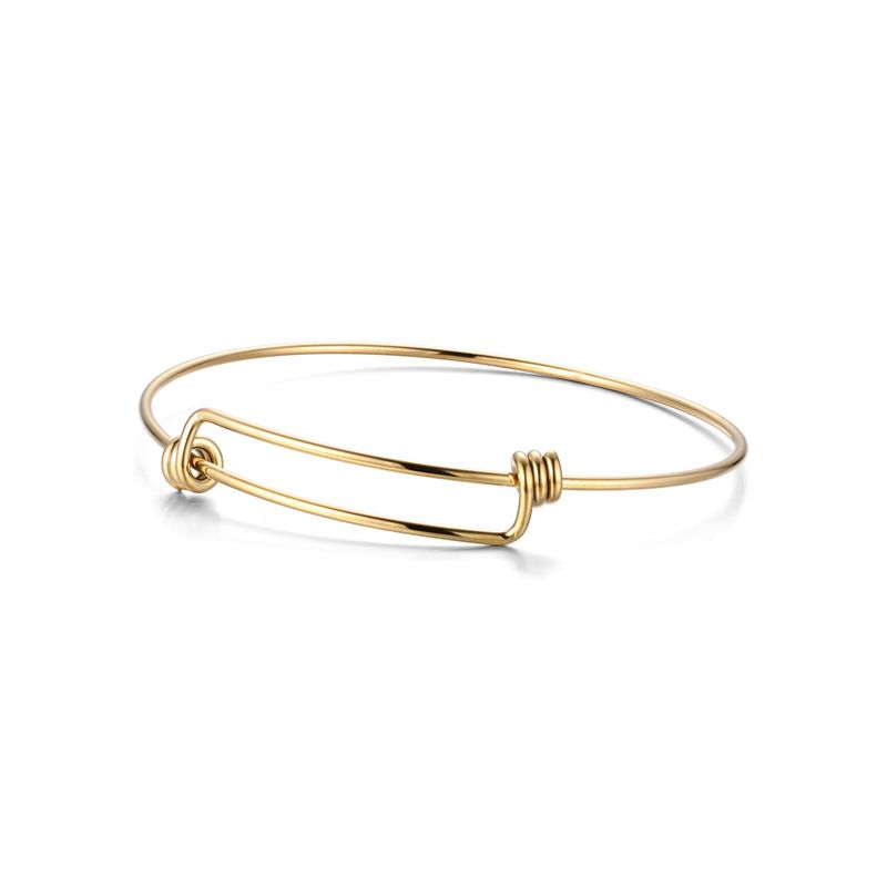 Size adjustable Vegetable Titanium Steel Fashion Bracelet Wholesale | Wholesale Jewelry Only 3