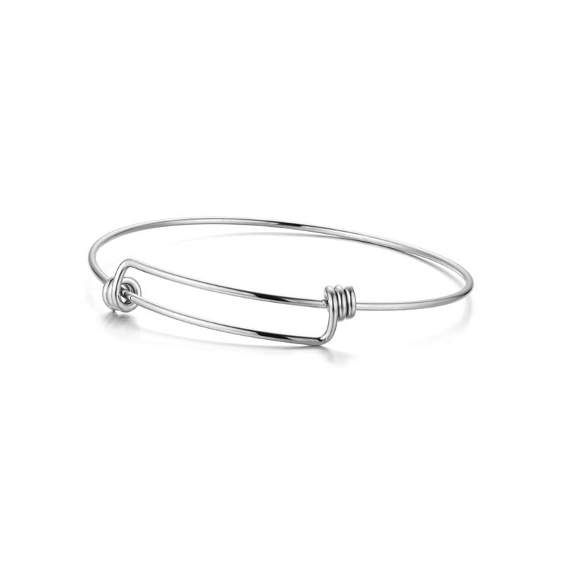 Size adjustable Vegetable Titanium Steel Fashion Bracelet Wholesale | Wholesale Jewelry Only 4