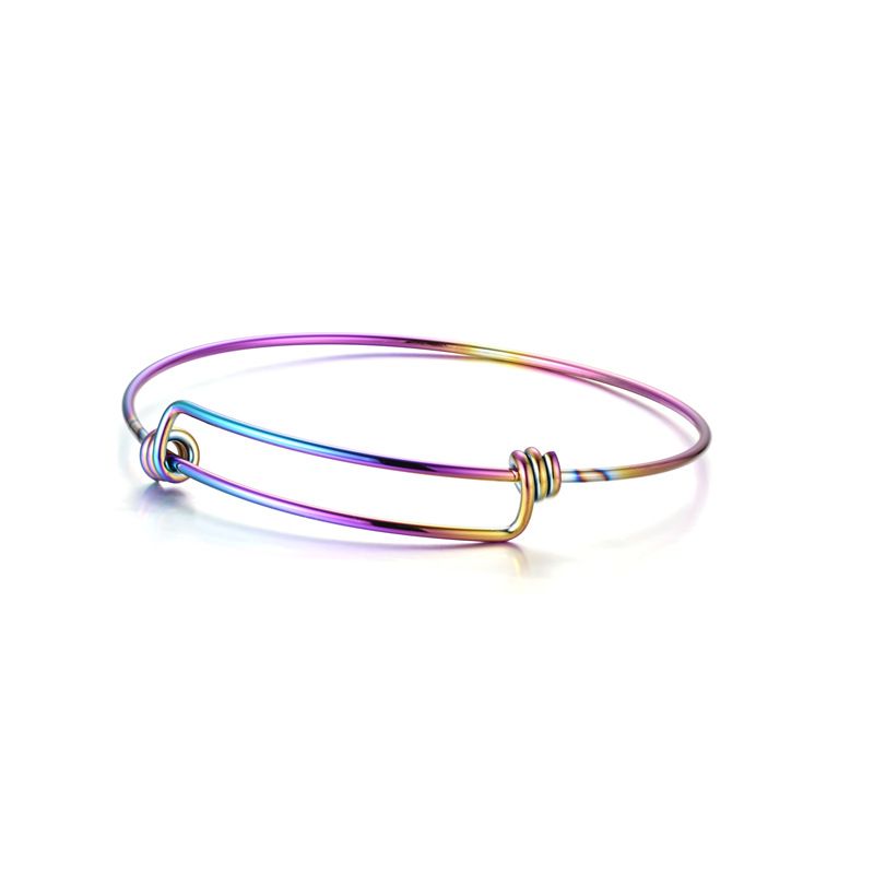 Size adjustable Vegetable Titanium Steel Fashion Bracelet Wholesale | Wholesale Jewelry Only 6